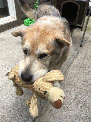 Drew with his favorite toy!