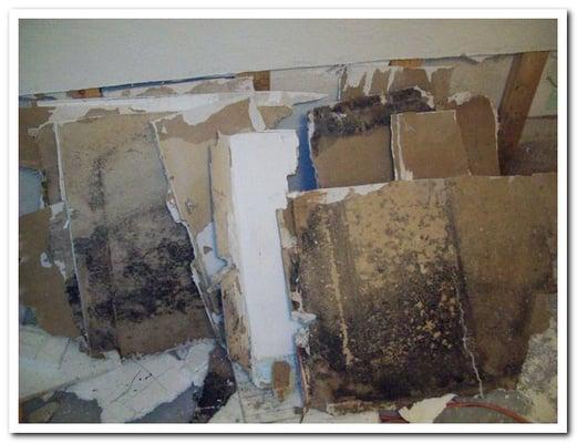 mold can hide inside the walls