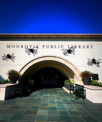 Spider invasion at the library lol!!! Love their Halloween decorations XD