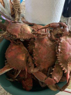 Blue Crabs after being steamed with old bay!