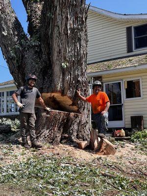 Shaffer Tree Service LLC