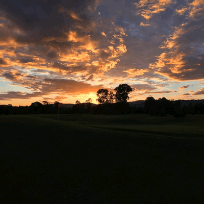 Trysting Tree Golf Club