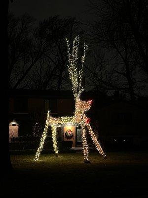 The giant reindeer