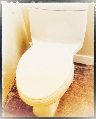 Toilet repair
Toilet replacement