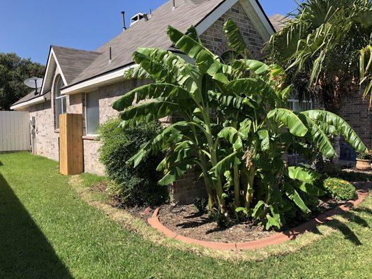 Outdoor installation of our whole home water filtration system. Our trenching line from the water main to the water filtration system