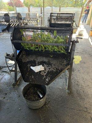 Green chile being roasted.