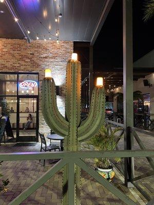 "The" cactus