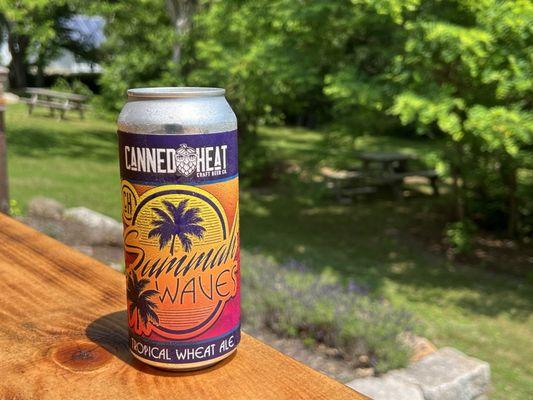 Local beer from Canned Heat in the beautiful Backyard!