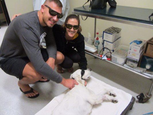 Ocho during his laser treatment!