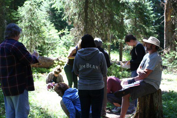 Students study herbal medicine both in-house and online