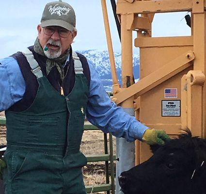 Dr. Don working cows at a Teton Valley, Idaho ranch.