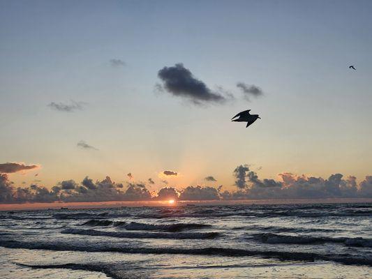 Sunrise at the beach