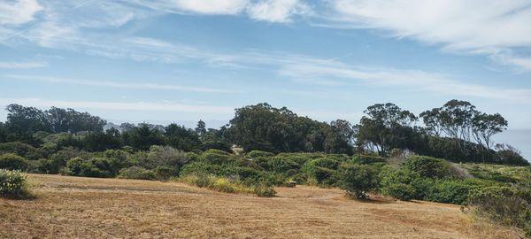 Looking towards some of the campsites