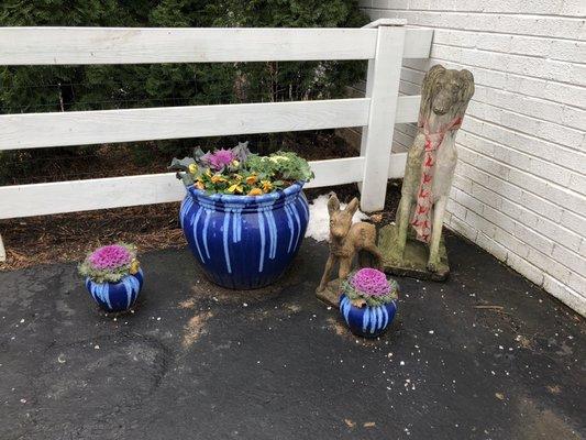 Cute planters outside.