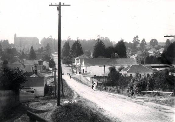 An Old Oakland Neighborhood