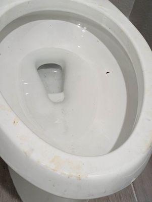 this toilet was just installed and clearly was being used by workers without toilet paper or soap. they had access to another bathroom.