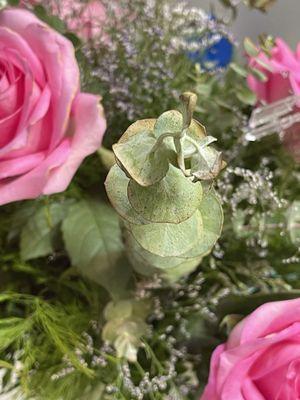 burnt dead greenery from the first arrangement