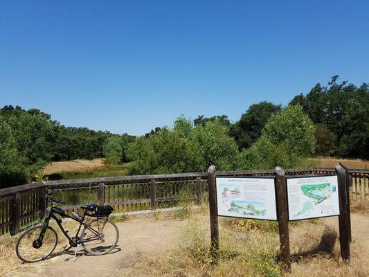 "Wetlands improve water quality"...when they exist, that is.  So dry!