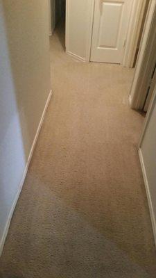 RESIDENTIAL CARPET CLEANING
 (AFTER)