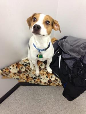 Toby at the Doctor's Office