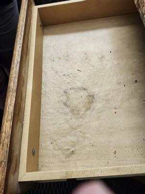 Mouse droppings in drawers.