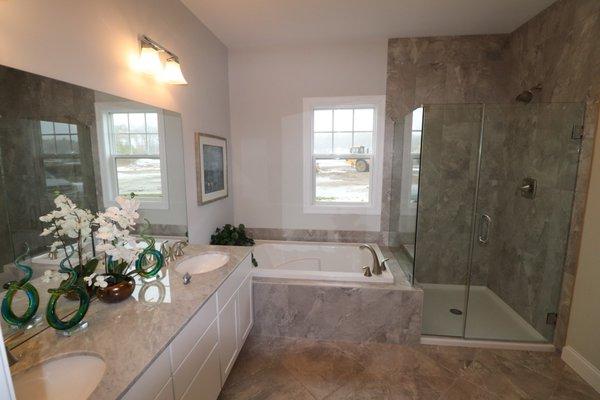 Shower door enclosure, mirror and bathroom accessories.