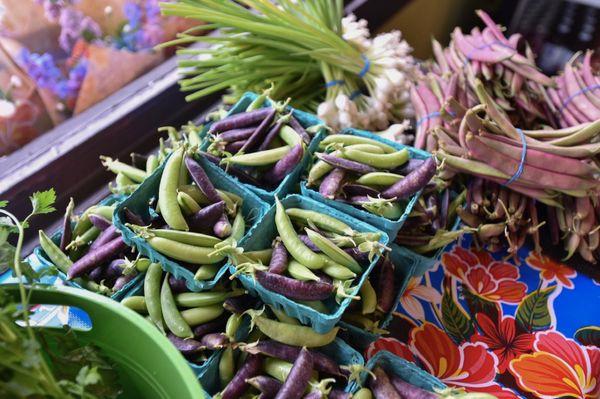 Fresh, seasonal, local veggies!