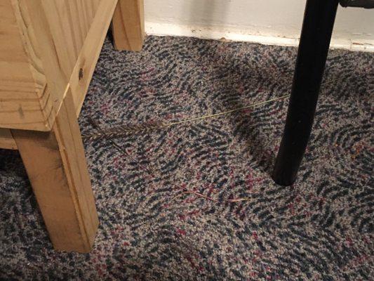 Nice carpet; would be even better if the had removed the plant parts before check in...