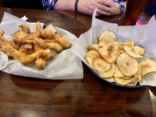 Cat Fish Fingers and Wing Chips