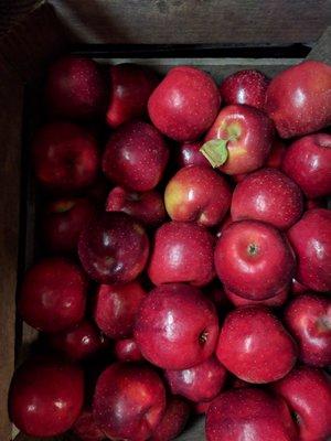 Rome Beauty apples!