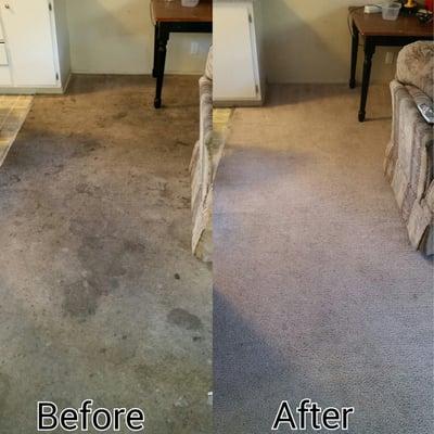 Carpet Cleaning Albuquerque | COIT