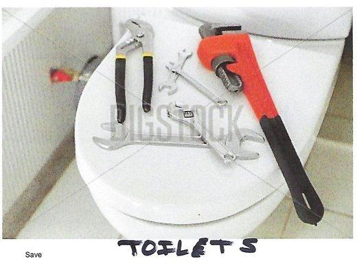 Toilet repair or install a new toilet