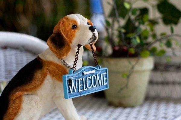 All Dogs are welcome - we do not discriminate against breeds...