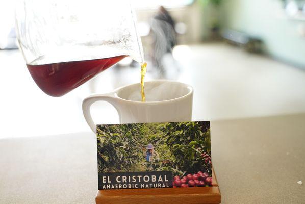 Beautiful presentation of a pour over coffee + info card about the coffee