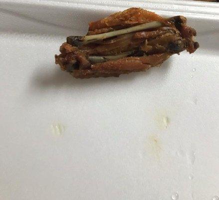 Close up of disgraceful chicken wing from pick up order