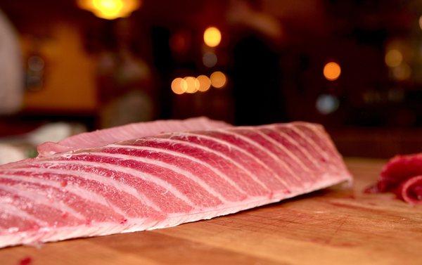 Bluefin tuna belly