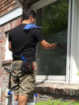 Professional Window and Blinds Cleaning