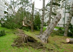 gainesville fire damage