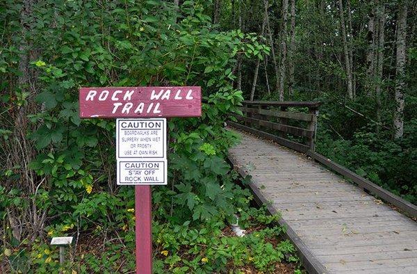 Rock Wall Trail educates on Northwest native woodland shade plants.