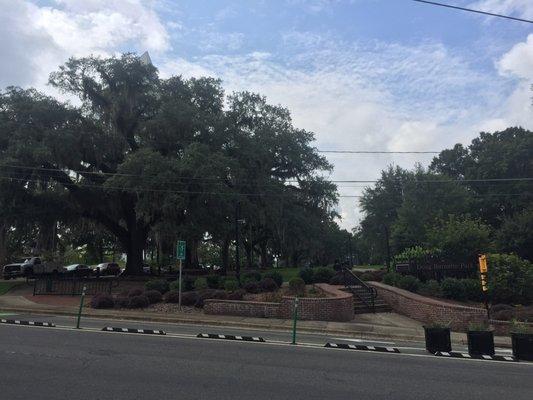 August 8, 2016; Doug Burnette Park, West Gaines St, Tallahassee, FL 32301