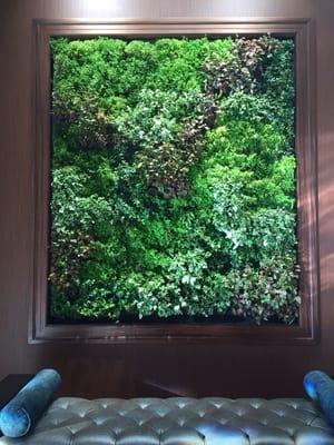 Living green wall design, installation and maintenance