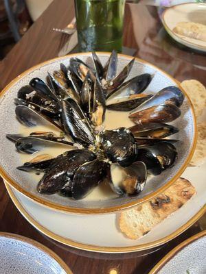 Mussels