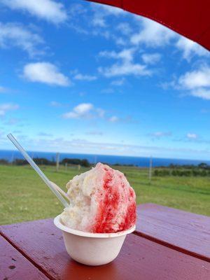 Lychee & Strawberry Shaved Ice + Condensed Milk + Ice Cream