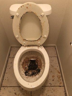 This home had some funky toilets that needed removal and hauled out. Let us do the dirty work, so you dont have to.