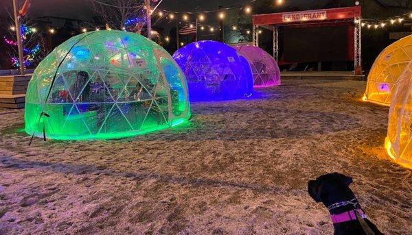 Igloos you can rent in the winter!