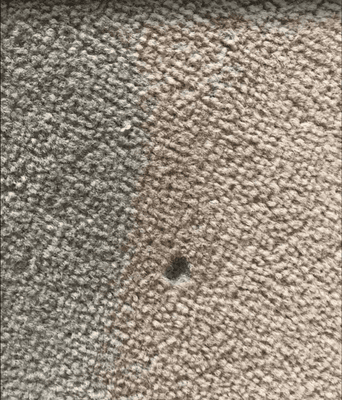 HOLES IN THE CARPET