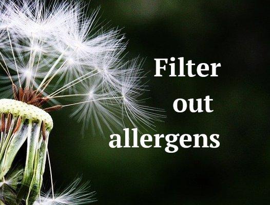 Filter out allergens