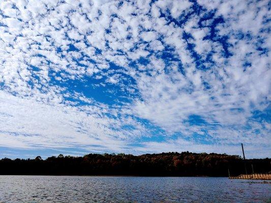 Out on the lake