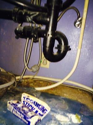 Water damage under the kitchen sink that was not reported by tenants or inspection. Mold Remediation needed.