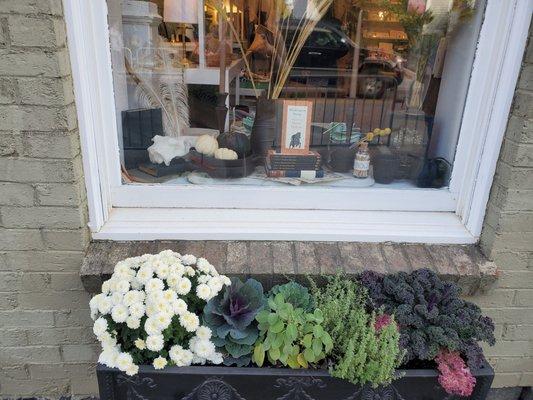 Beautiful window displays